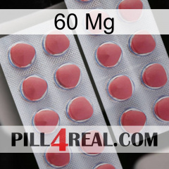60Mg 19